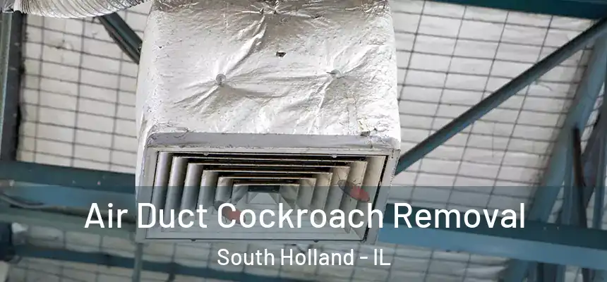  Air Duct Cockroach Removal South Holland - IL