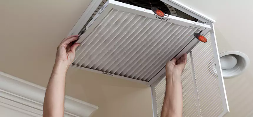 Preventive Cockroach-Proofing for Ducts in South Holland