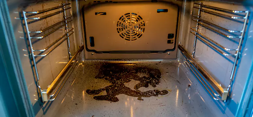 Our Dryer Vent Mold Cleaning Services in South Holland, IL