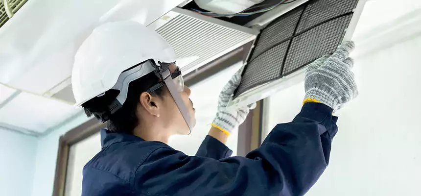 Our Mold & Mildew Removal from Air Ducts Services in South Holland, IL