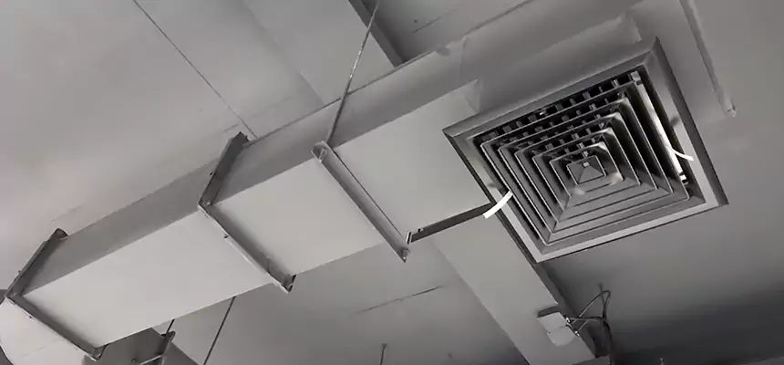 Our Pest Removal From Ducts Services in South Holland, IL