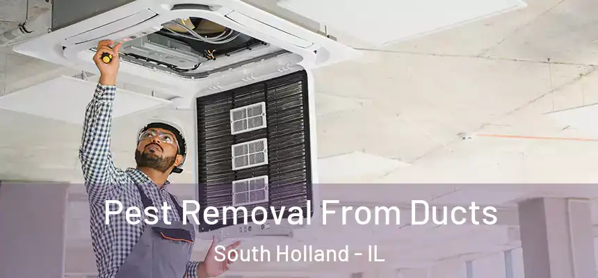 Pest Removal From Ducts South Holland - IL