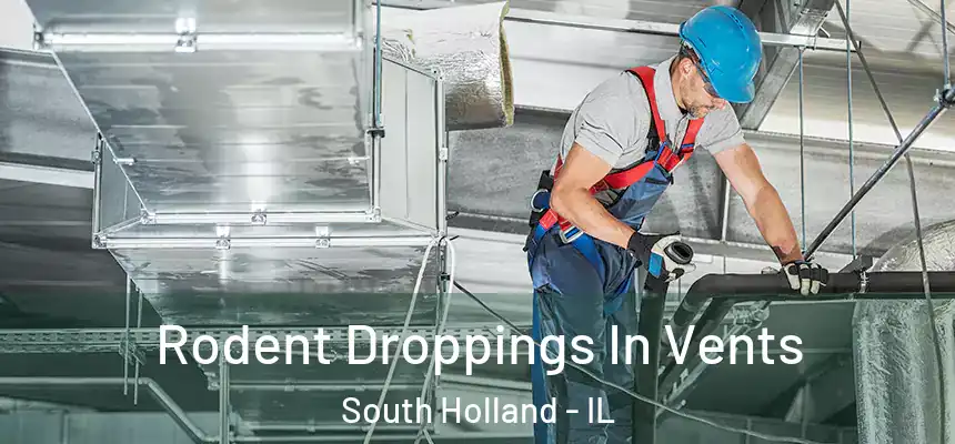  Rodent Droppings In Vents South Holland - IL