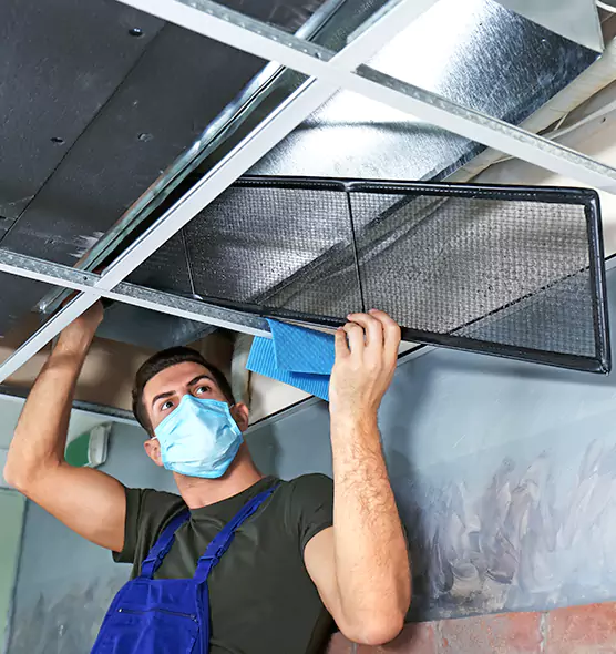 About Air Duct Bacteria Removal in South Holland
