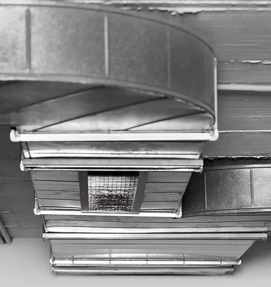 Professional Air Duct Pest Removal in South Holland, IL