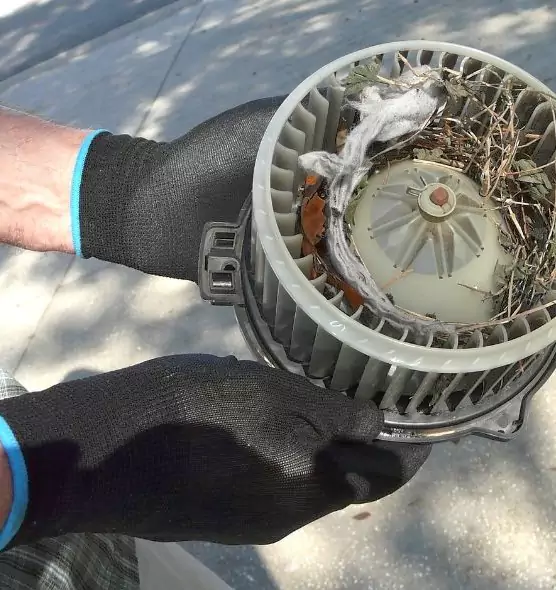 About Air Duct Rat Removal in South Holland, IL