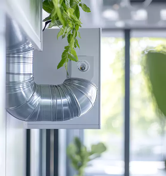 Professional Eco-Safe Dryer Vent Cleaning in South Holland, IL