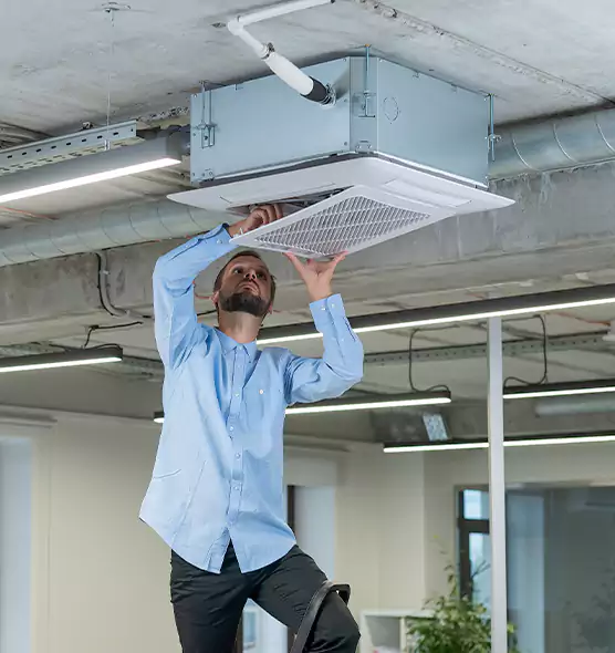 Advanced Rodent Droppings In Vents in South Holland, IL