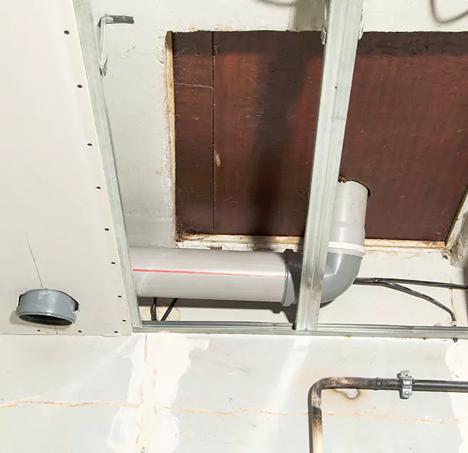 Why Homeowners & Businesses Trust Us in South Holland, IL?