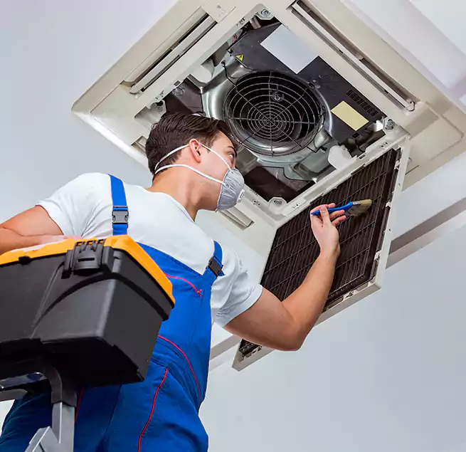 Why Homeowners & Businesses Trust Us in South Holland, IL