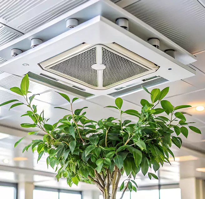 Why Homeowners & Businesses Trust Us in South Holland, IL