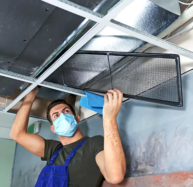 Why Homeowners & Businesses Trust Us in South Holland, IL?